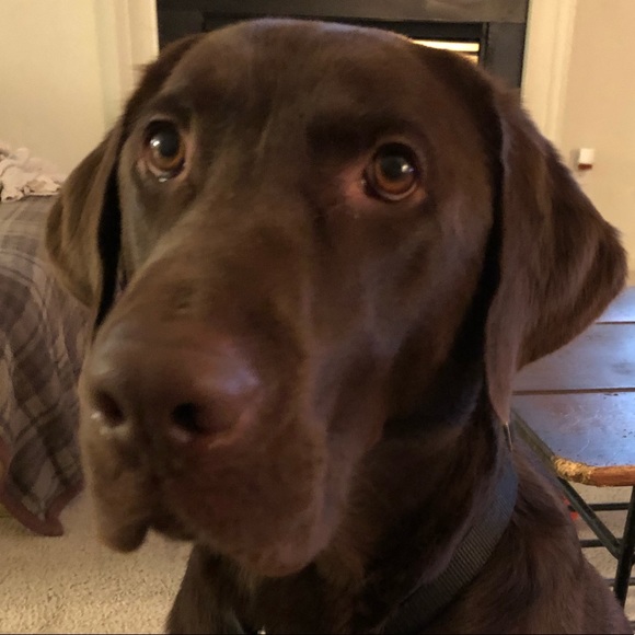 Meet your Posher, Linda - Picture 1 of 1